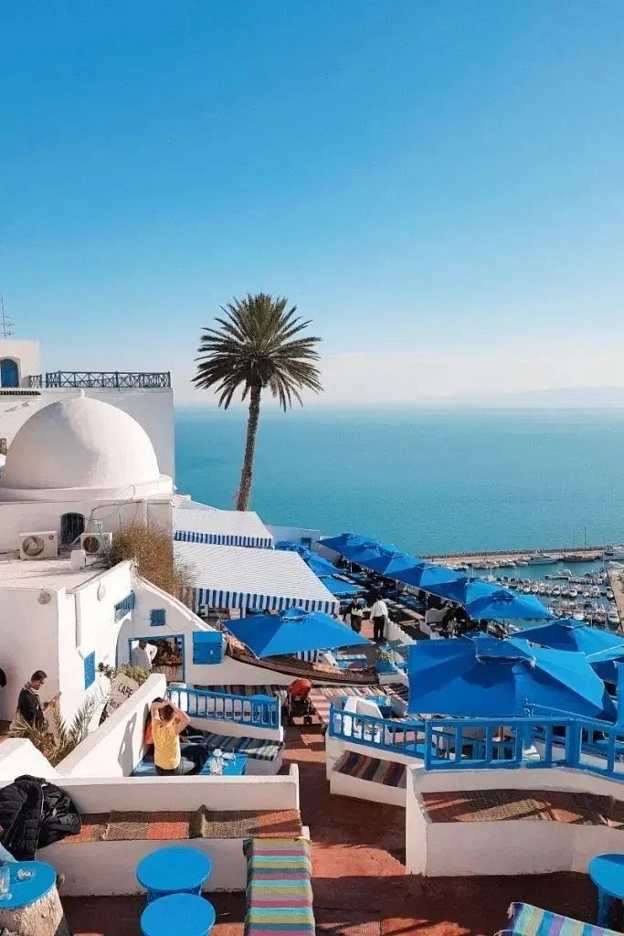تور تونس|تور و چارتر|مشهد, سجاد شهر|دیوار