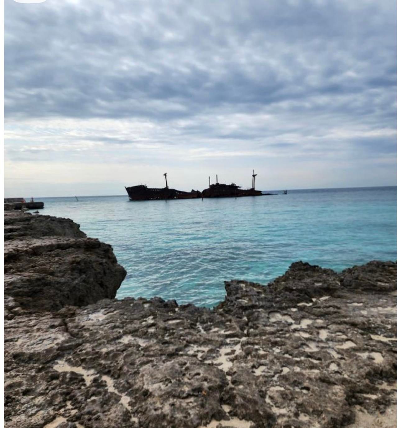 تور کیش(اقساطی ویژه)|تور و چارتر|تهران, سهروردی|دیوار