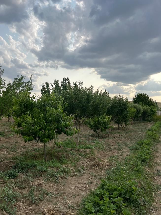 قواره باغی (آبشینه-املاک آروان)|فروش زمین و ملک کلنگی|همدان, |دیوار