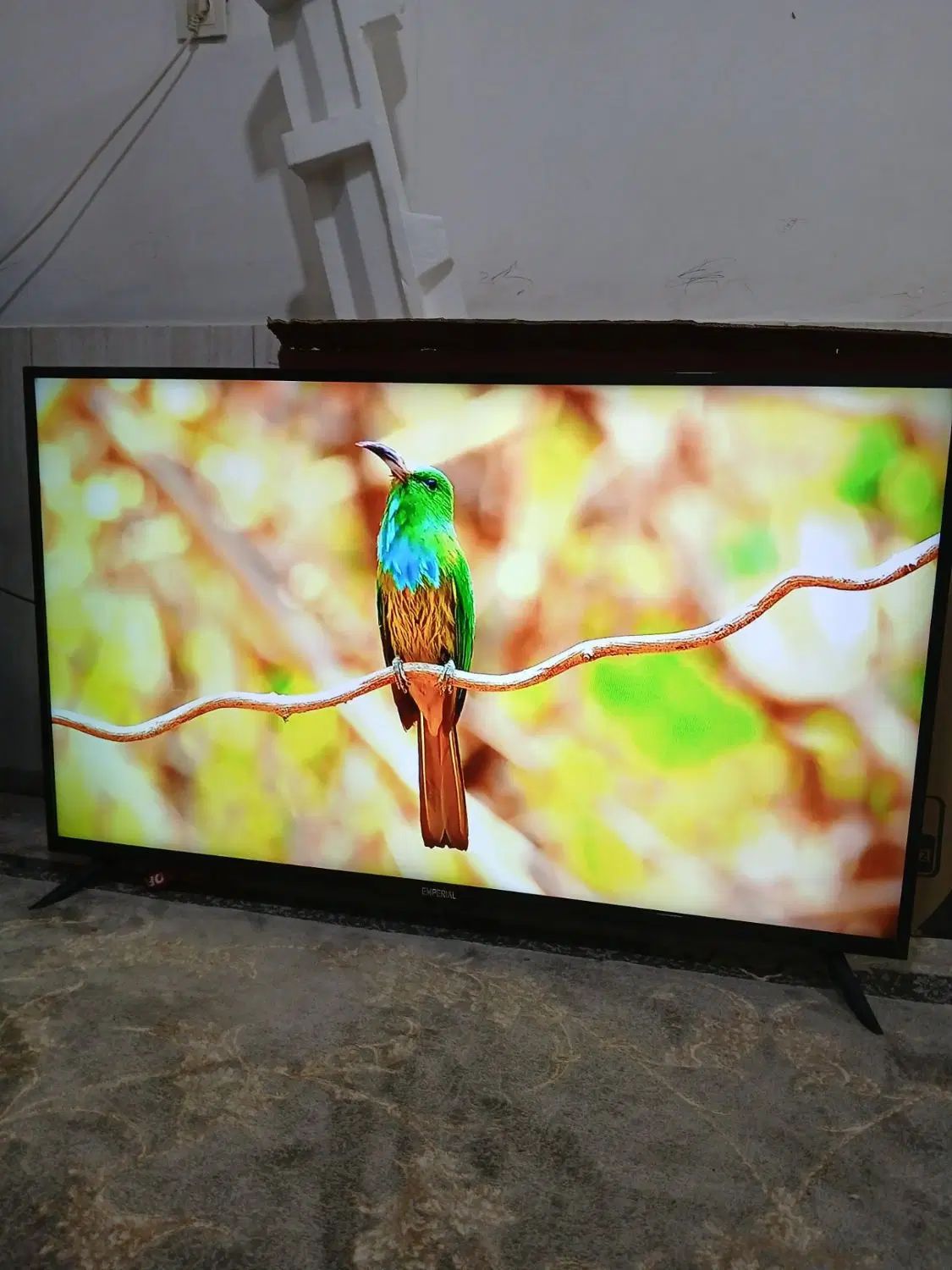 تلویزیون ۵۰ اینچ امپریال فورکی4k درحدنو با کارتن|تلویزیون و پروژکتور|مشهد, امیر آباد|دیوار