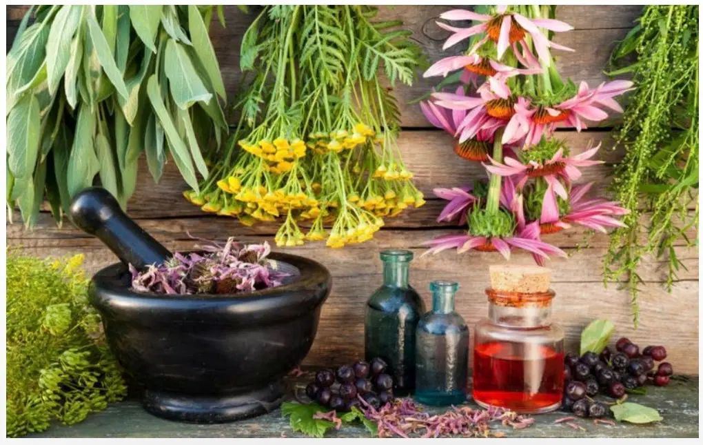 نتورک مارکتینگ جذب بازاریابان محصولات سلامت محور|استخدام بازاریابی و فروش|تهران, سهروردی|دیوار