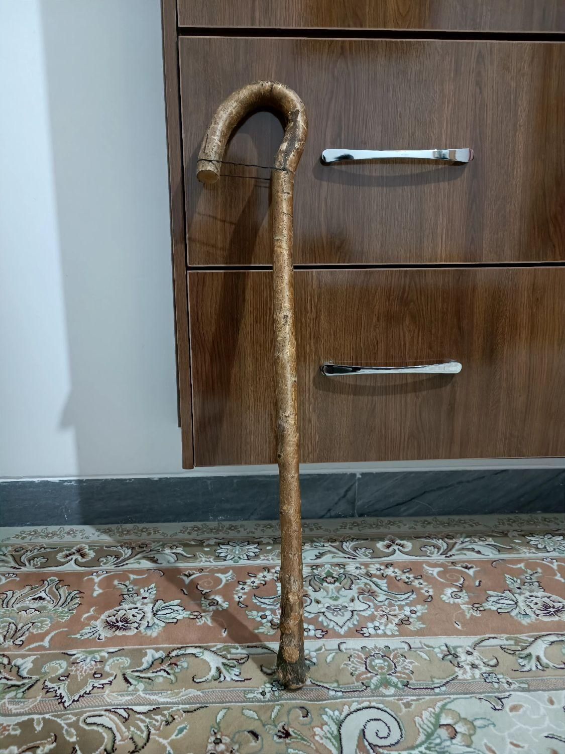 چوب دستی ارژن (بادام کوهی)|کوهنوردی و کمپینگ|تهران, استاد معین|دیوار
