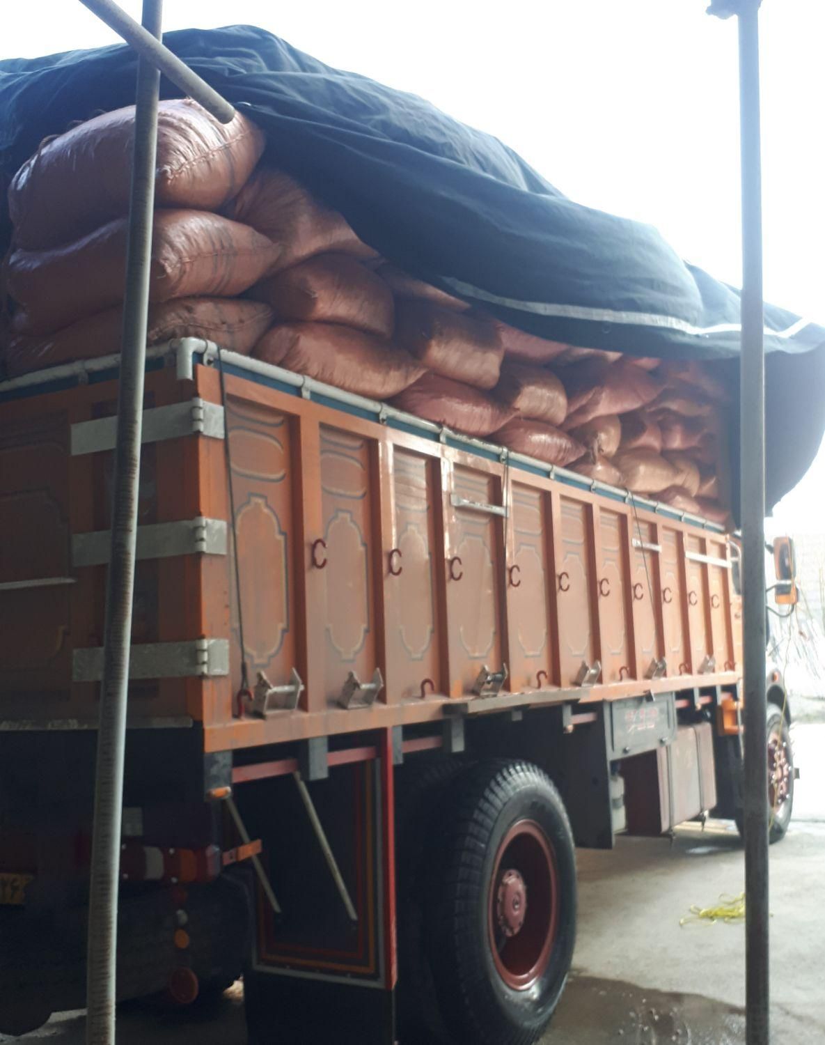 پوست بادام زمینی خشک درجه 1 و تولید روز|خدمات باغبانی و درختکاری|آستانه اشرفیه, |دیوار