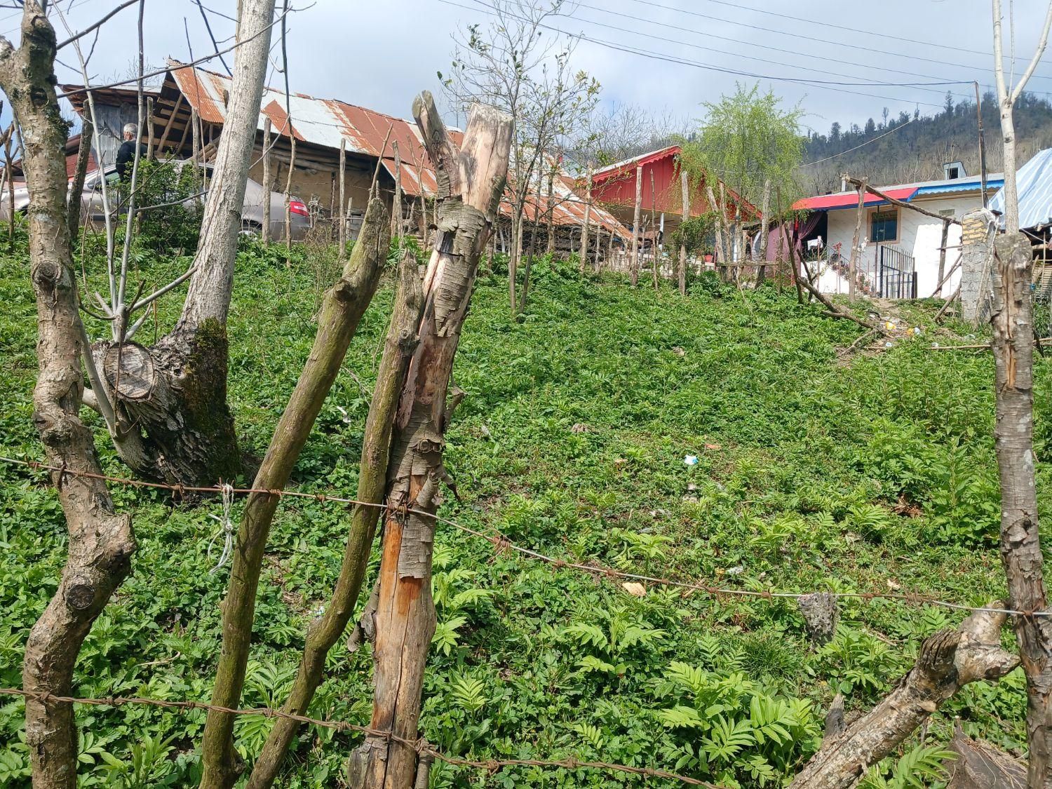 زمین مسکونی در بهشت گیلان معاوضه با خودرو|فروش زمین و ملک کلنگی|اطاقور, |دیوار