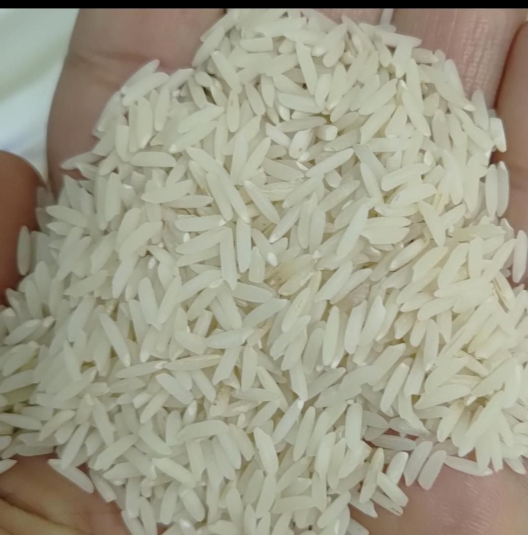 برنج فجر درجه یک گیلان|خوردنی و آشامیدنی|الوند, |دیوار