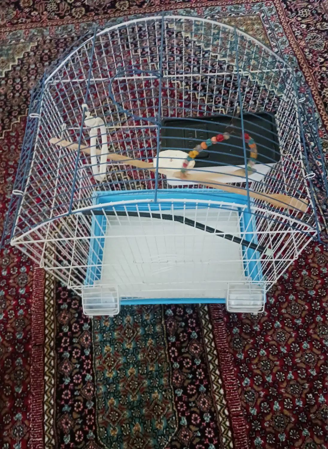 قفس پرنده|لوازم جانبی حیوانات|سنندج, |دیوار