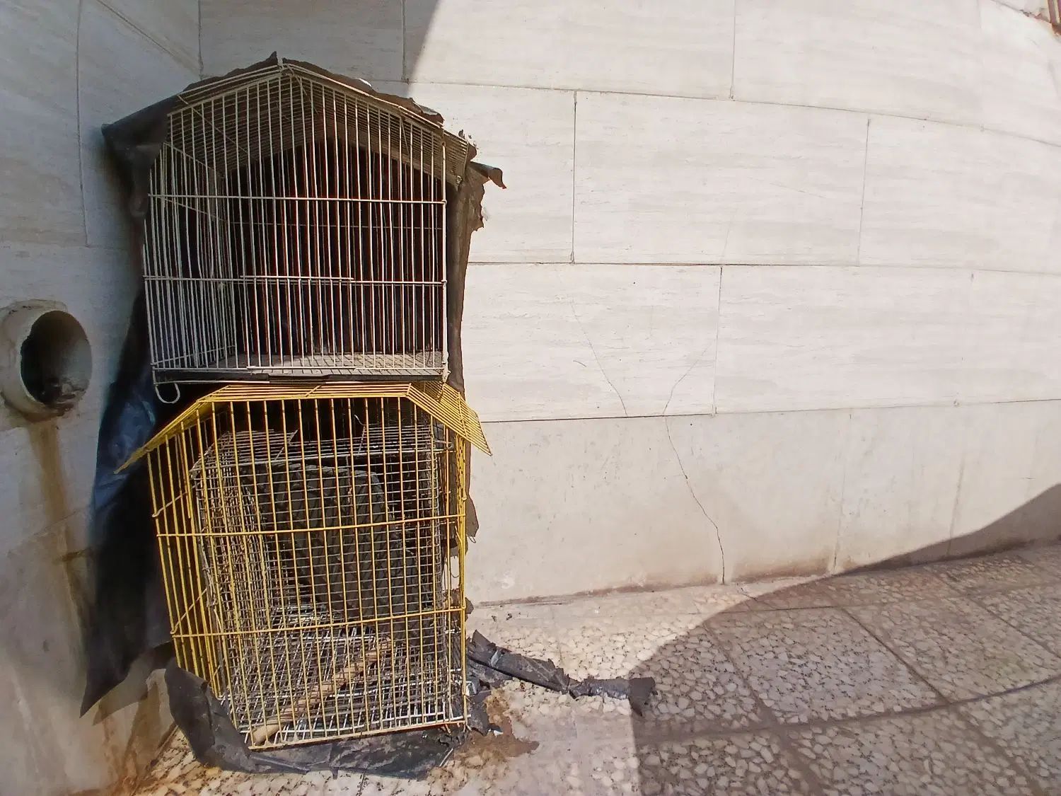 قفس پرنده|لوازم جانبی حیوانات|اهواز, آسیاباد|دیوار