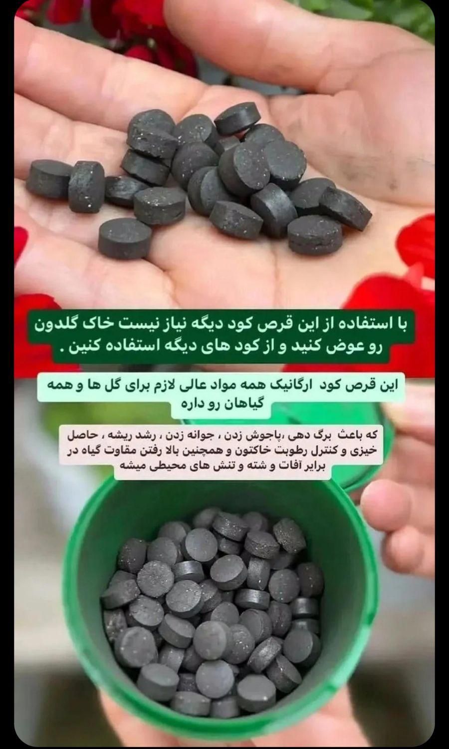قرص کود|گل و گیاه طبیعی|خرمشهر, |دیوار