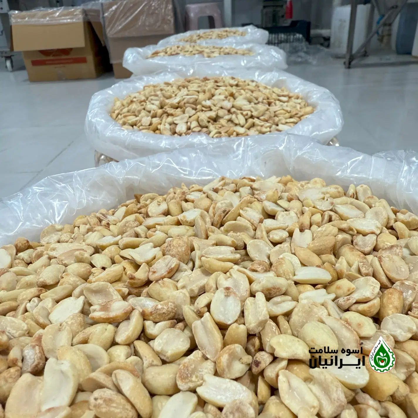 فروش عمده بادام زمینی کره‌گیری با قیمت همکاری ویژه|خوردنی و آشامیدنی|اصفهان, جوزدان الیادران|دیوار