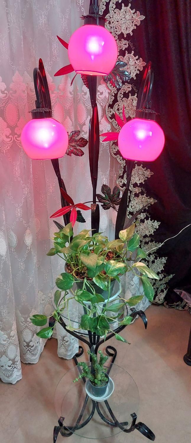 درخچه مصنوعی آناناس-آباژور-قاب تابلو|گل مصنوعی|قم, آزادگان|دیوار