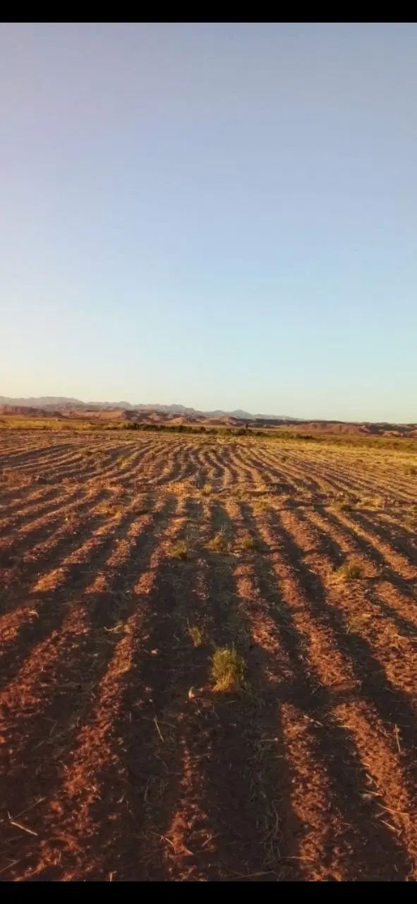 6000متر زمین کشاورزی باآب چاه موتور|اجارهٔ دفتر صنعتی، کشاورزی، تجاری|مشهد, هفده شهریور|دیوار
