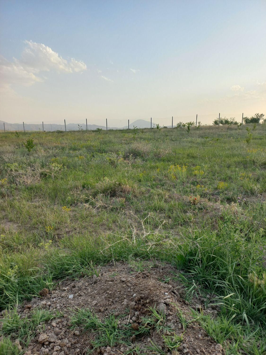 نهند قزل قیه ۲۰۰۰متر مربع|فروش زمین و ملک کلنگی|خواجه, |دیوار