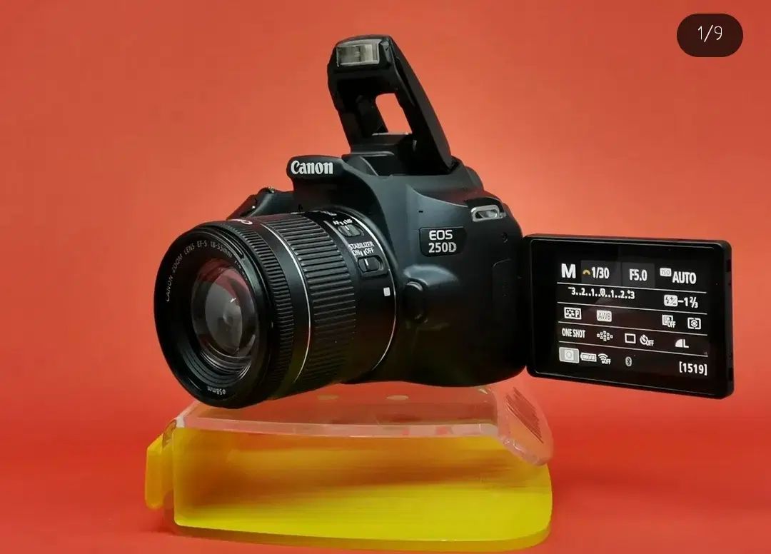 دوربین عکاسی Canon EOS 250D +18-55 STM|دوربین عکاسی و فیلم‌برداری|مشهد, اروند|دیوار