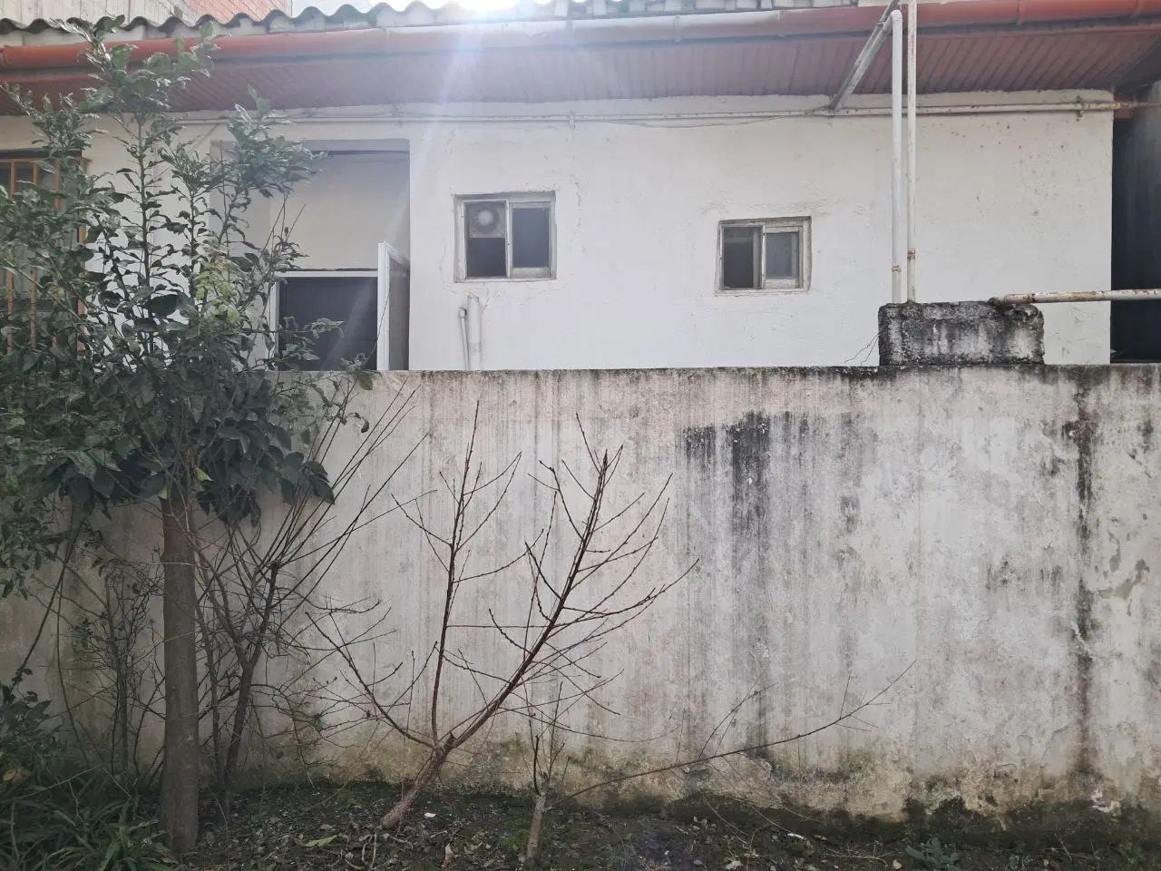 مشارکت در ساخت ساحلی ۲۵۰متری خیابان آزادی|مشارکت در ساخت املاک|محمودآباد, |دیوار