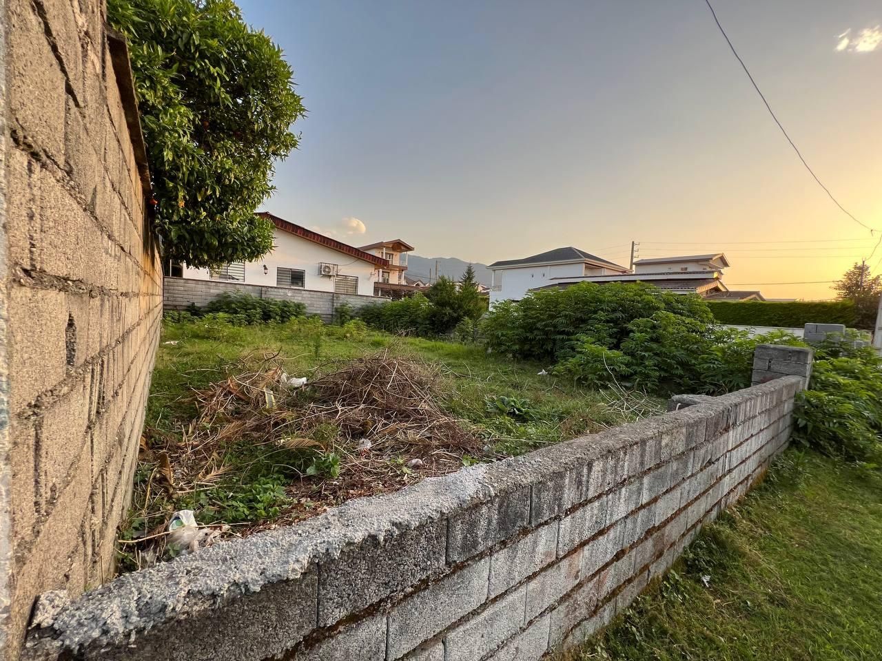 زمین متل قو شهرک دانیال ۲۴۱ متری|فروش زمین و ملک کلنگی|سلمانشهر, |دیوار