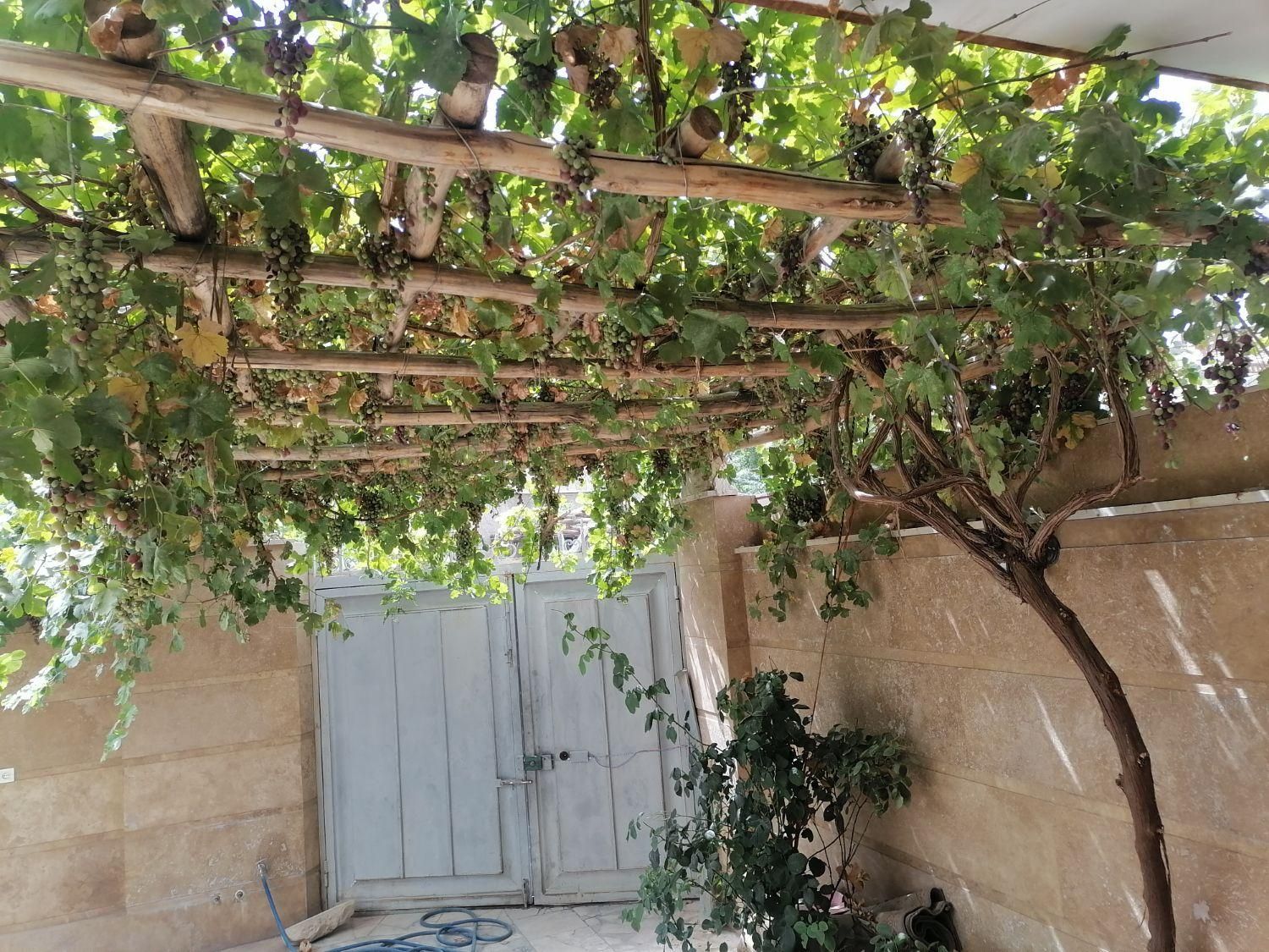 خونه ویلایی دوبلکس،دربست،ایوان،تراس در نیاسر کاشان|اجارهٔ کوتاهمدت ویلا و باغ|کاشان, معلم|دیوار