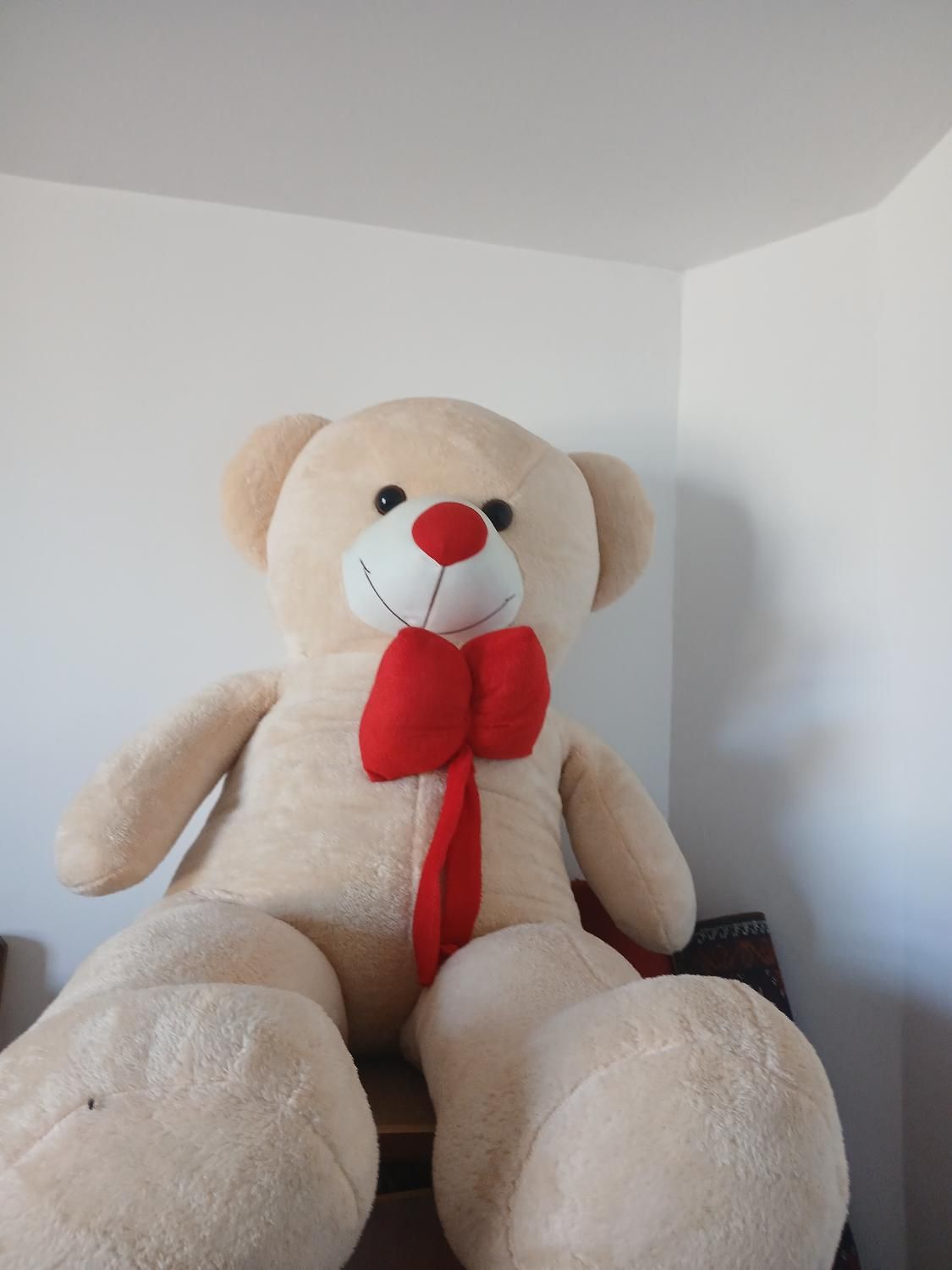 خرس اسباب بازی|اسباببازی|قائن, |دیوار