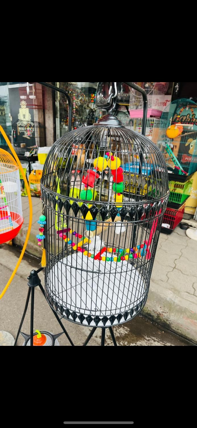 قفس|لوازم جانبی حیوانات|رشت, شهریاران|دیوار