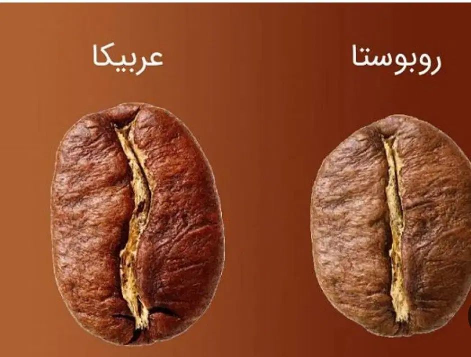 دان قهوه عربیکا و روبستا|خوردنی و آشامیدنی|اصفهان, ملک‌شهر|دیوار