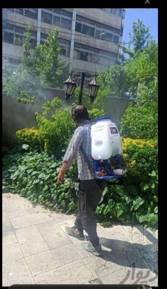 باغبانی هرسکاری سمپاش تعویض خاک گلدان باغچه کوددهی|خدمات باغبانی و درختکاری|تهران, نیروی هوایی (پیروزی)|دیوار