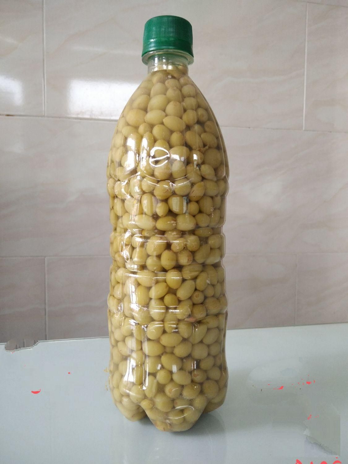 غوره شور ،آبغوره، سرکه ، آبلیمو|خوردنی و آشامیدنی|تهران, دردشت|دیوار