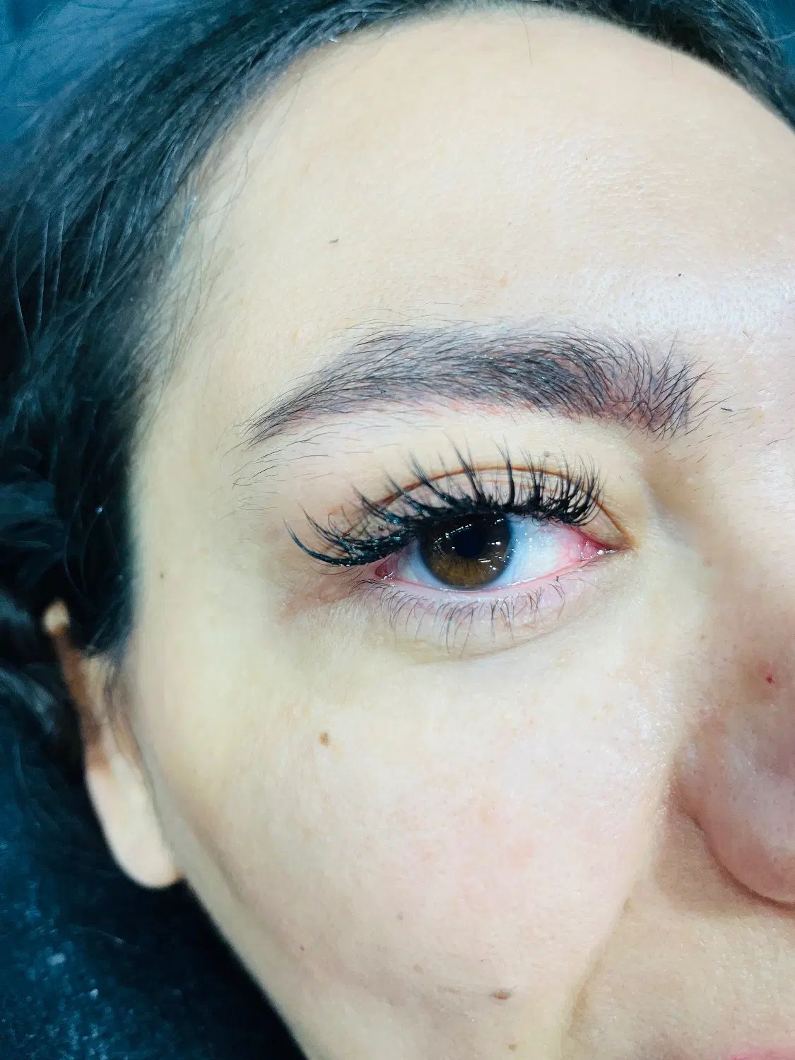 مدل مژه|خدمات آرایشگری و زیبایی|تهران, درختی|دیوار