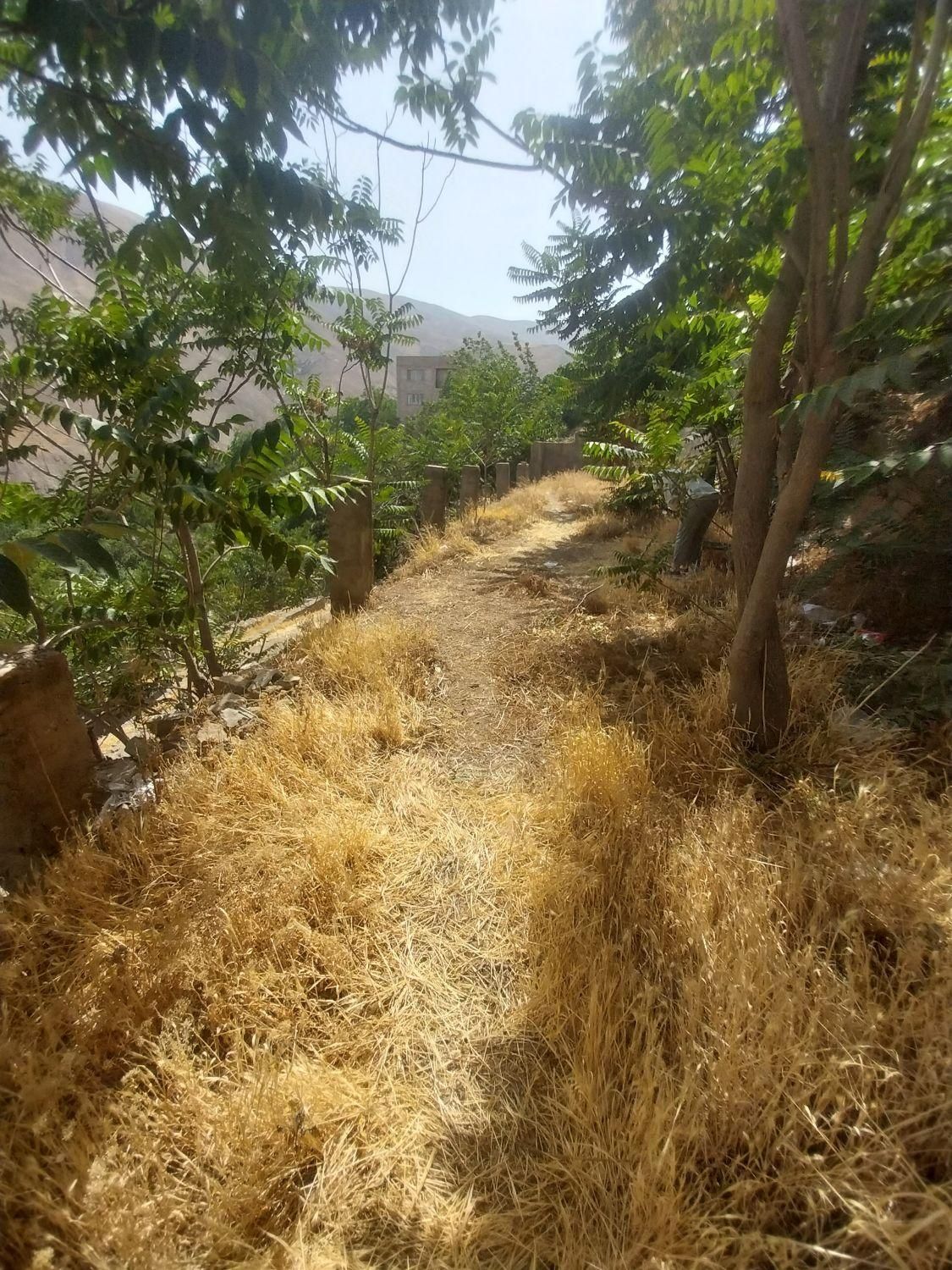 فروش زمین ۱۶۰ متری در کن|فروش زمین و ملک کلنگی|تهران, کن|دیوار