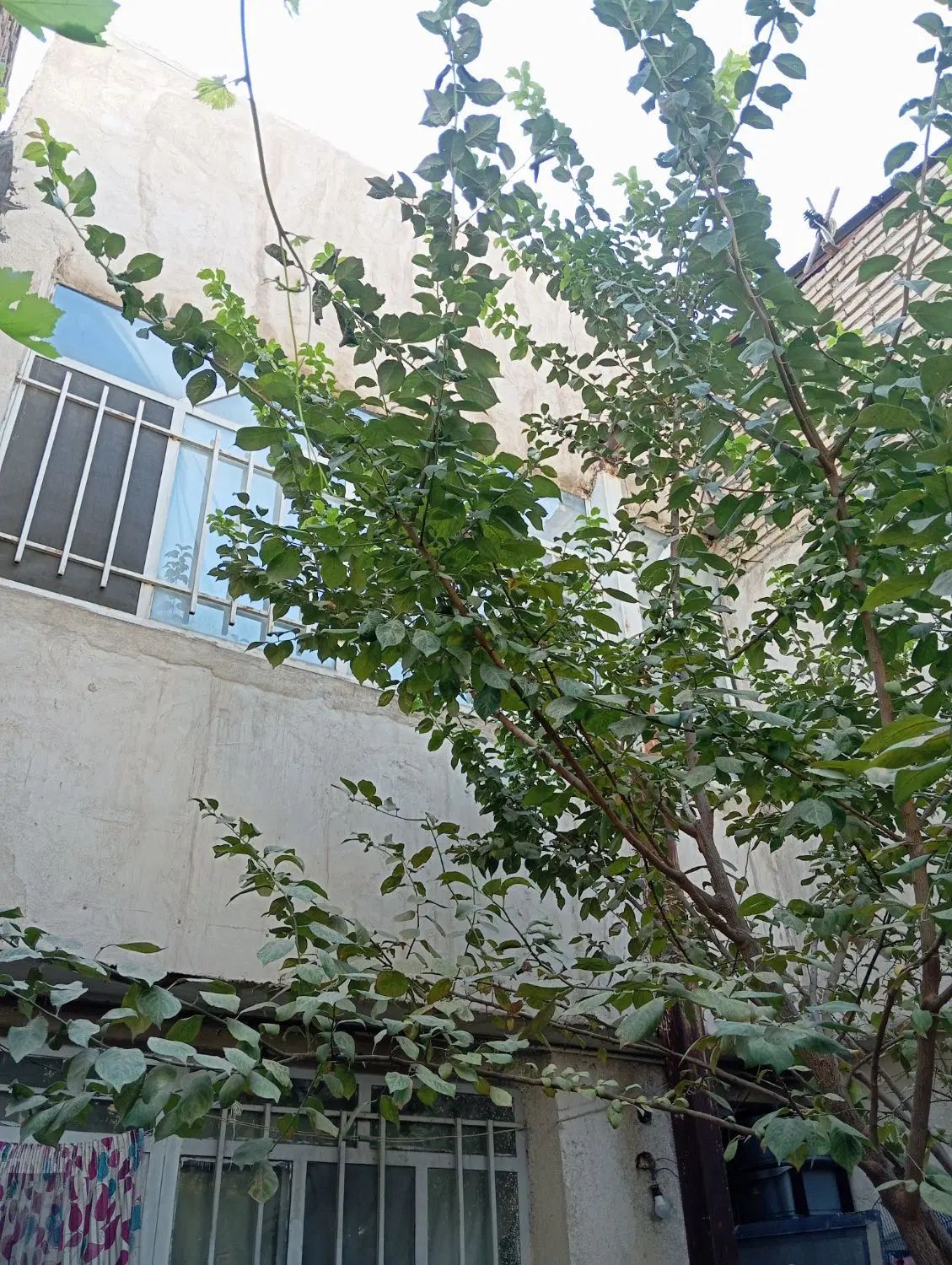 تصویر 10