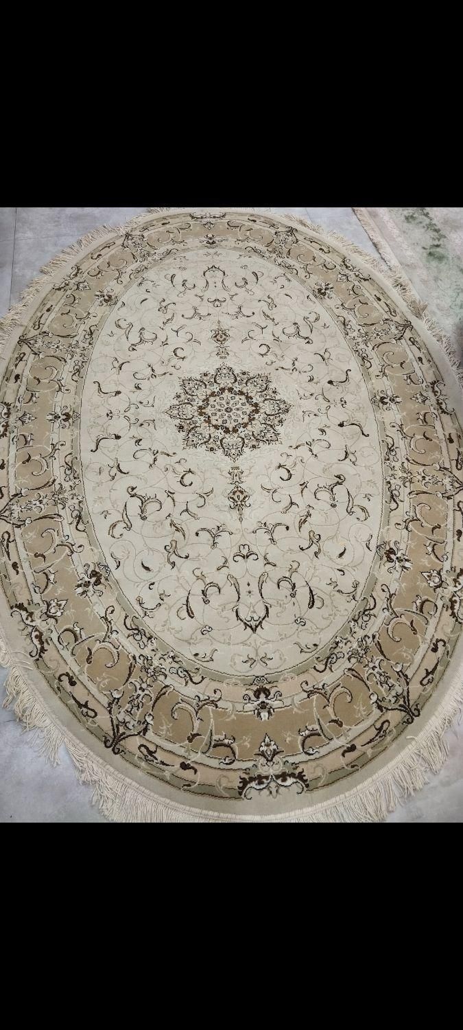 قالیچه کرم بیضی شکل|فرش|اهواز, بهارستان|دیوار