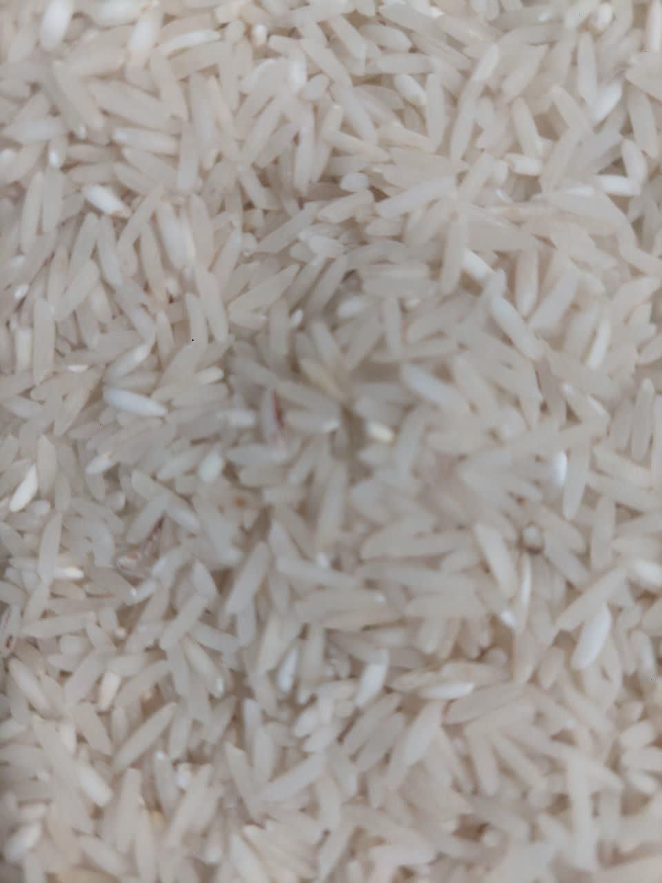 فروش برنج سنگ طارم محلی|خوردنی و آشامیدنی|بهشهر, |دیوار