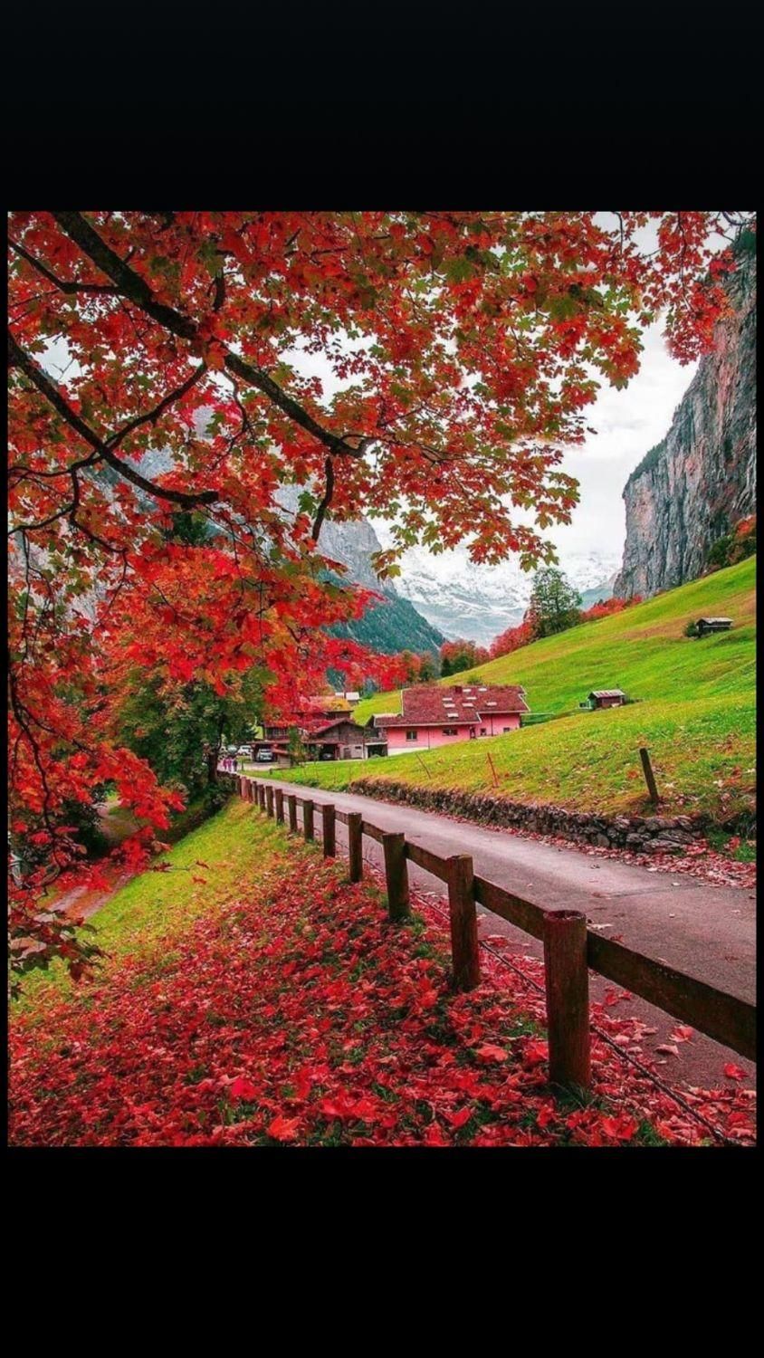 نیروی نظافتچی هستم.باکاربسیارتمیز|خدمات نظافت|یاسوج, |دیوار