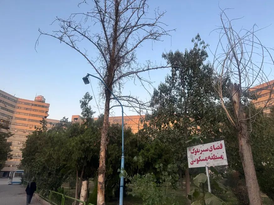 فروش آپارتمان ۱۷۶ متری ۴ خوابه در اکباتان|فروش آپارتمان|تهران, اکباتان|دیوار
