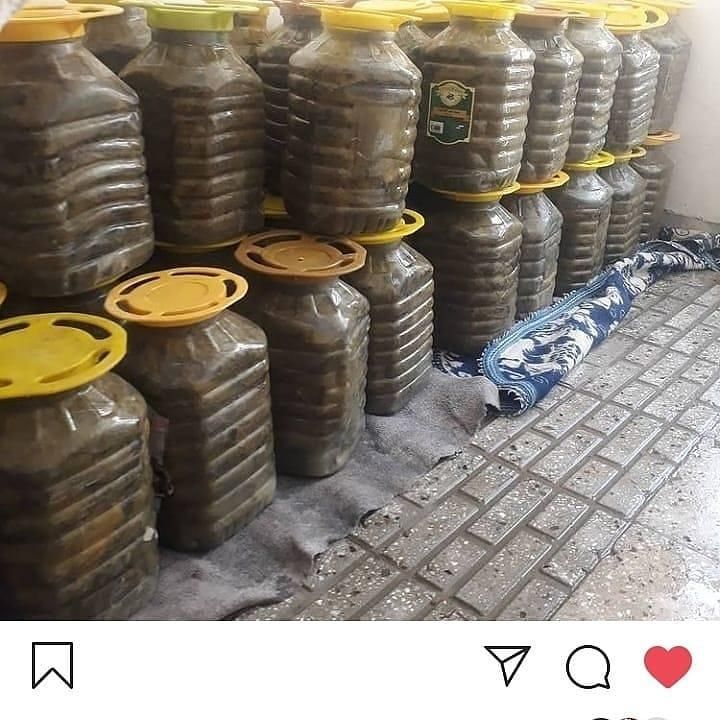 برگ دلمه درشت وتازه امسال|خوردنی و آشامیدنی|تهران, ازگل|دیوار