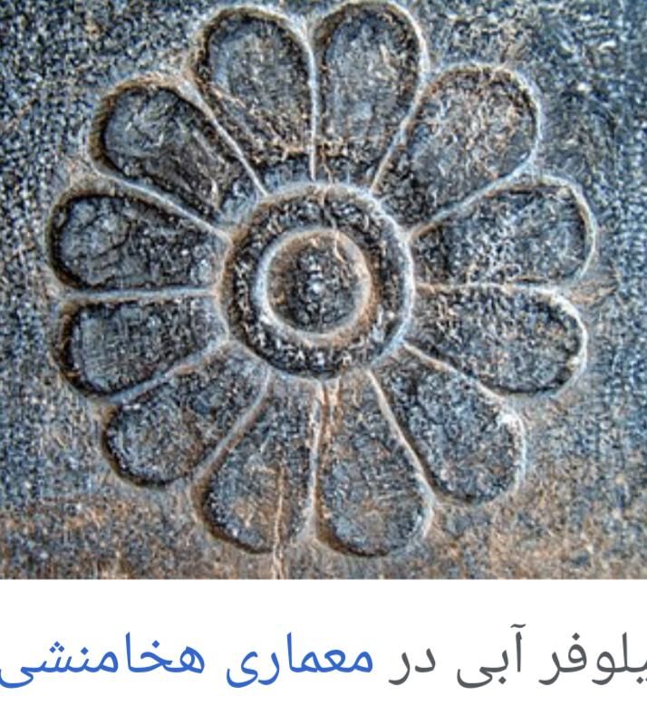 0917-0-15-17-19|سیم‌کارت|شیراز, اصلاح‌نژاد|دیوار