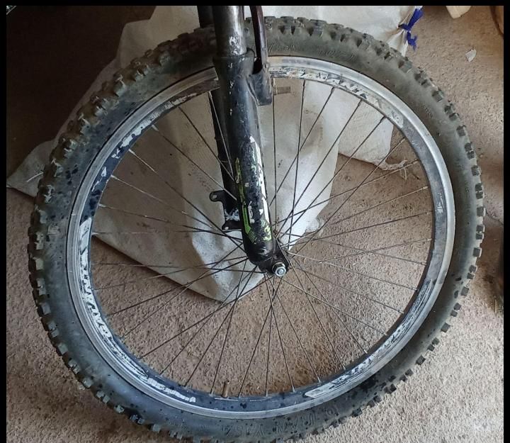 دوچرخه|دوچرخه، اسکیت، اسکوتر|خانمیرزا, |دیوار