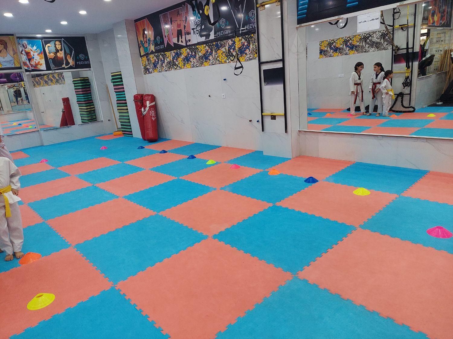 آموزش ورزش المپیکی تکواندو بانوان|خدمات آموزشی|شیراز, شهرک مدرس|دیوار