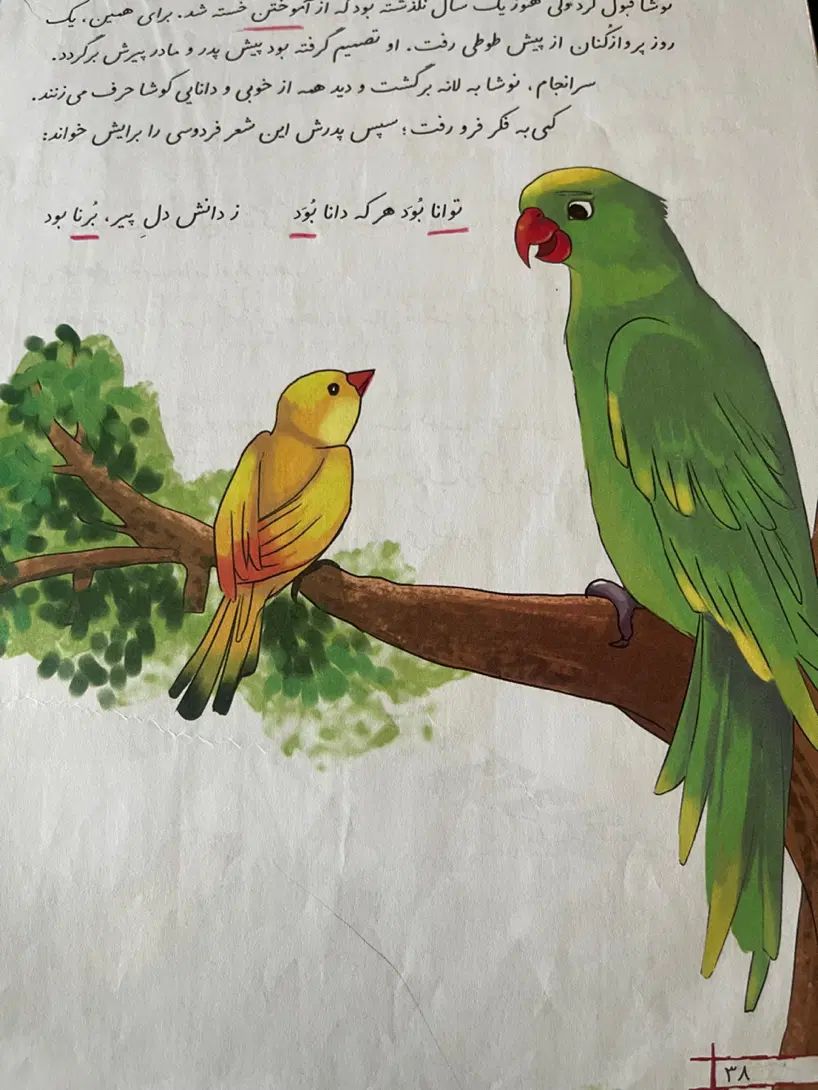آموزش خصوصی و نیمه خصوصی دبستان پایه اول|خدمات آموزشی|اصفهان, خانه اصفهان|دیوار