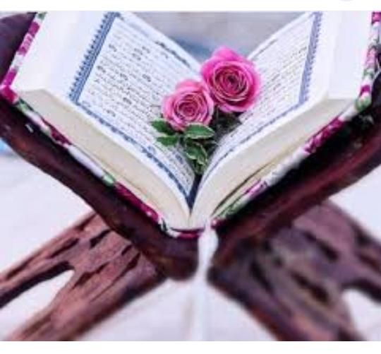سرکتاب تضمینی|کتاب و مجله مذهبی|کرج, جهانشهر|دیوار