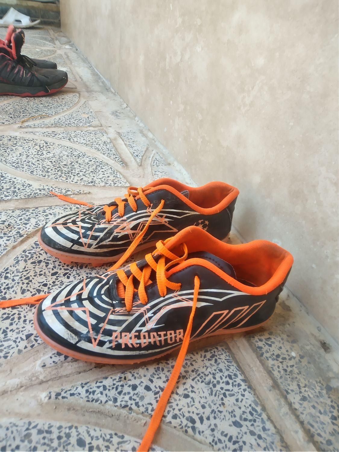 یک جفت کفش چمن|کیف، کفش، کمربند|آبدانان, |دیوار