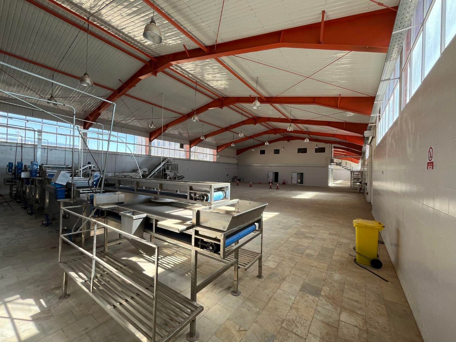 اجاره کارخانه بهداشتی کاملا مجهز به تولید|اجارهٔ دفتر صنعتی، کشاورزی، تجاری|ساوه, |دیوار