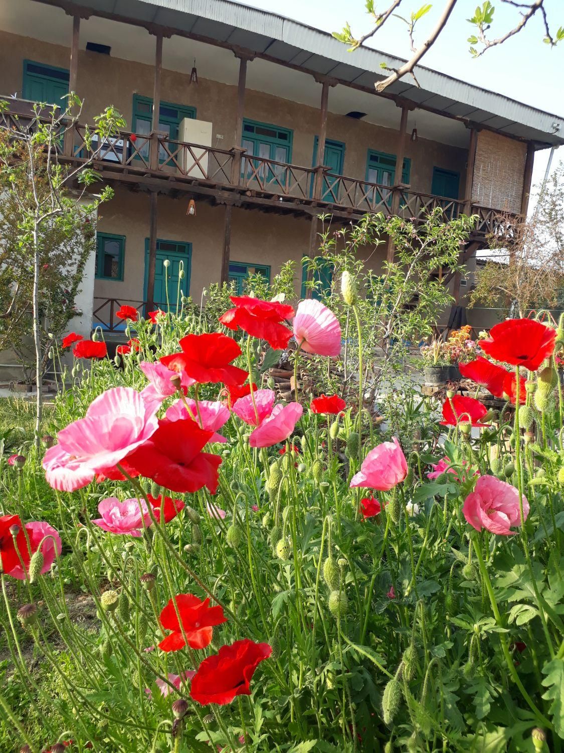 اقامتگاه و سوییت و بومگردی و سویت|اجارهٔ کوتاه‌مدت ویلا و باغ|گرگان, |دیوار