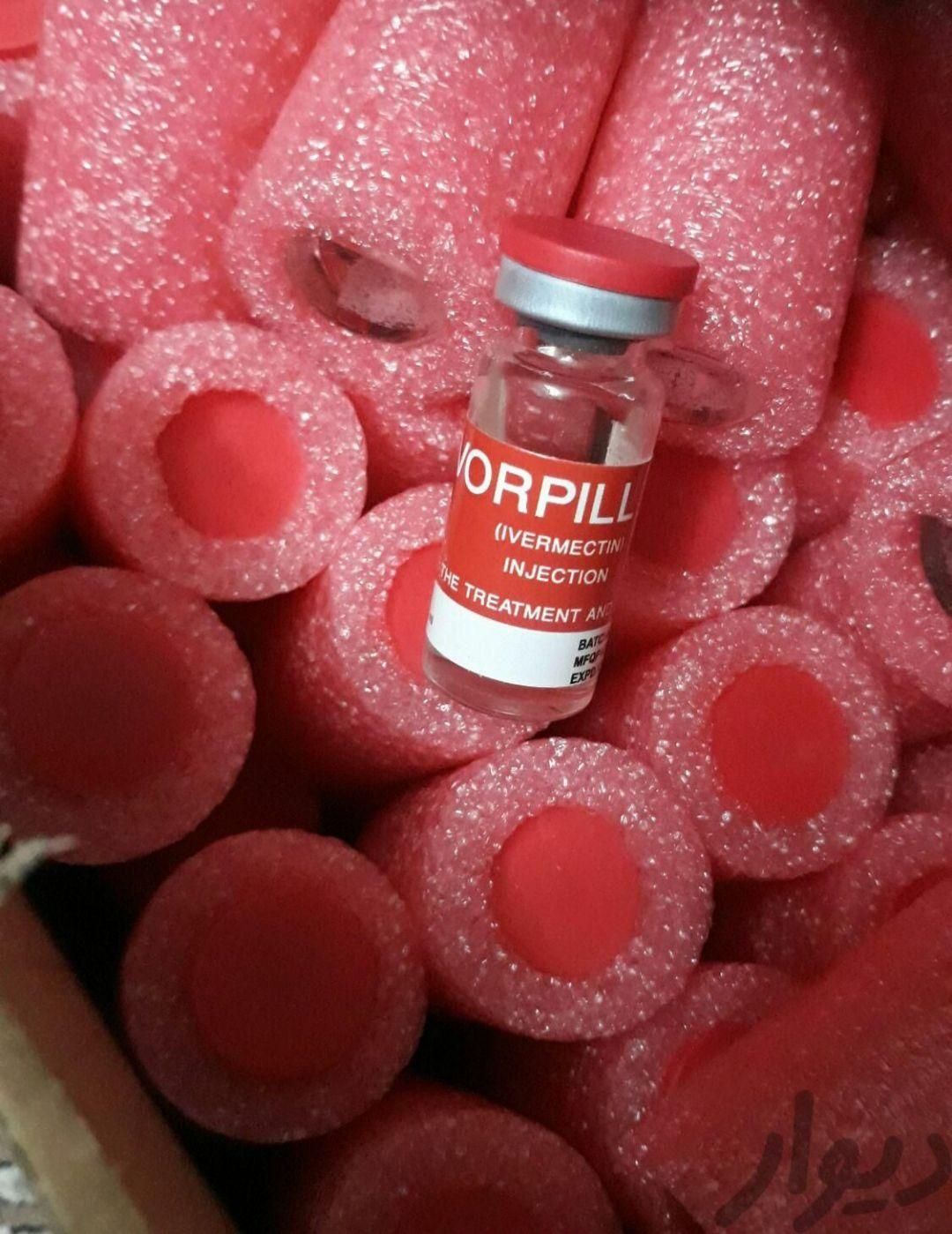 محلول‌ضدشپش‌وتخمک قدرتمندایورپیل باتضمین‌برگشت پول|آرایشی، بهداشتی، درمانی|خرم‌آباد, |دیوار