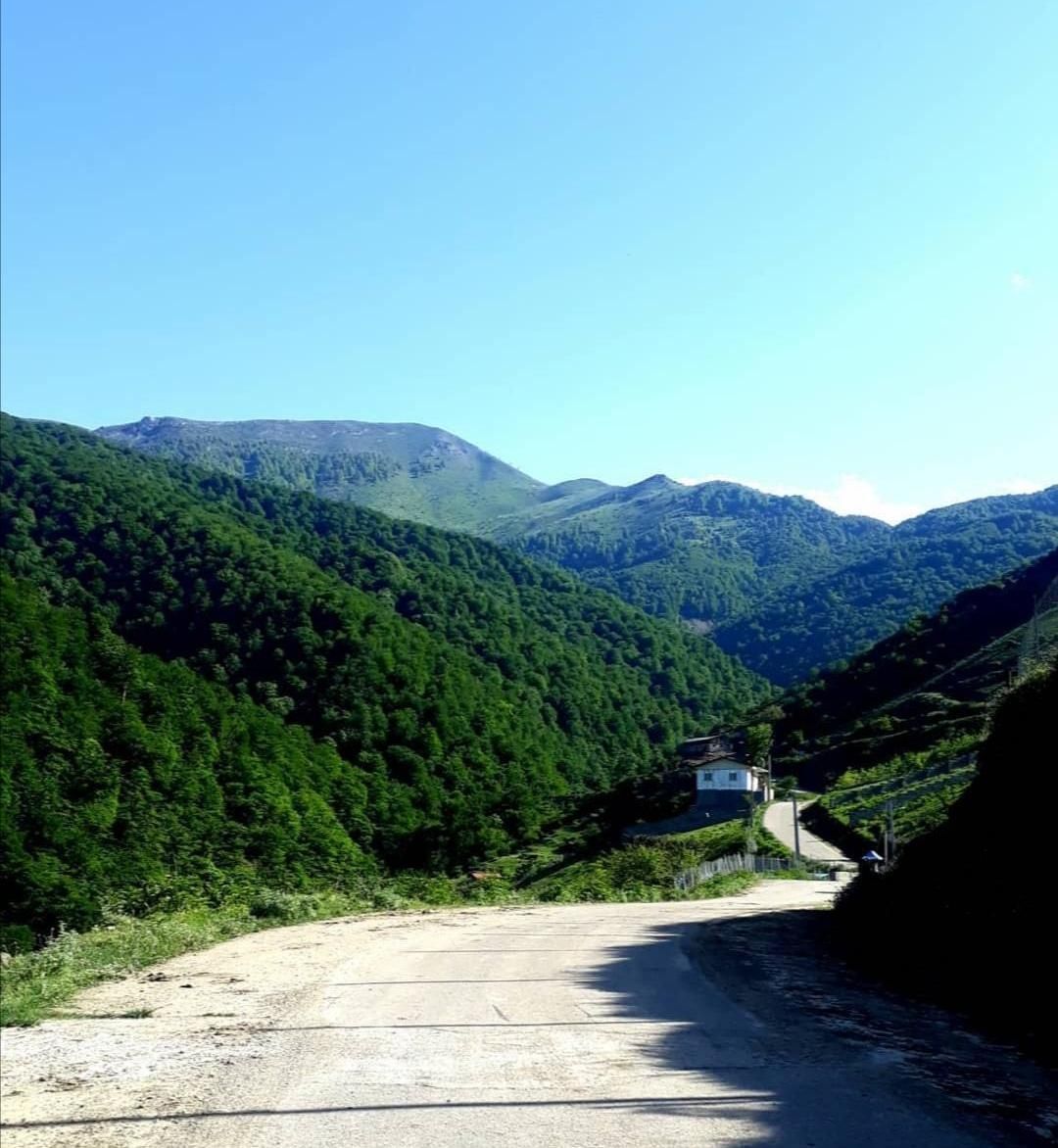 زمین سوادکوه پل سفید زیراب شیرگاه روستای تیلم|فروش زمین و ملک کلنگی|آلاشت, |دیوار