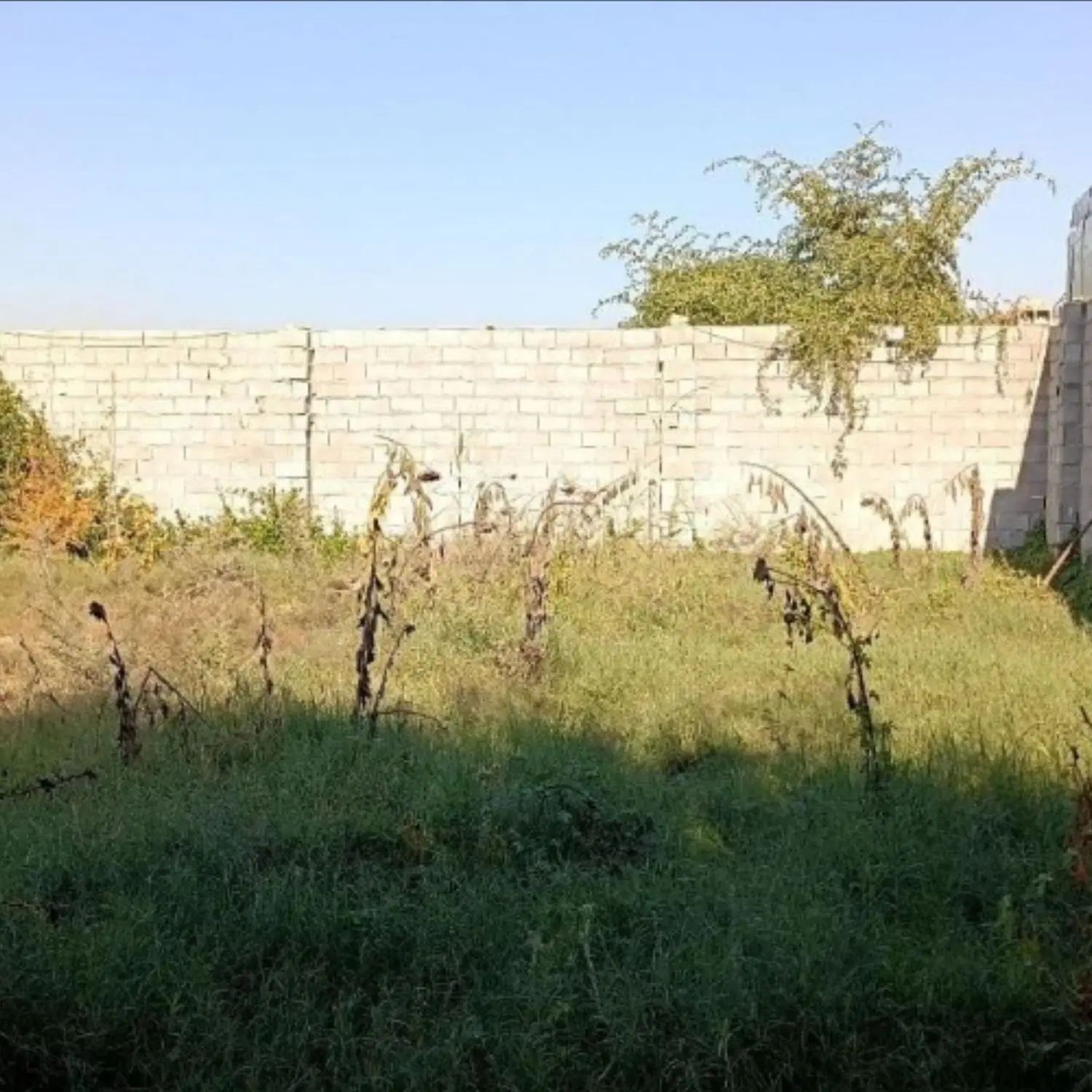 فروش/تهاتر/معاوضه زمین ۷۰۰ متری ۱۰ کیلومتری شوشتر|فروش زمین و ملک کلنگی|اهواز, کوی عابدی|دیوار