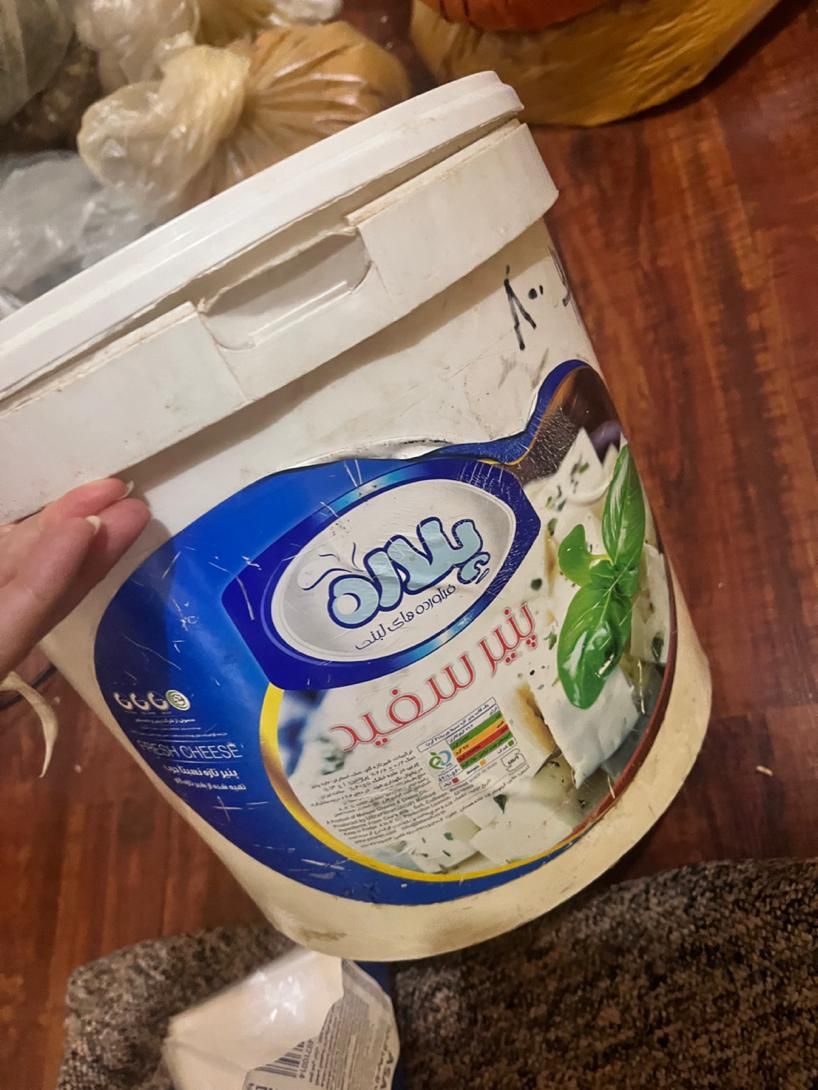 سطل جا پنیری|ظروف نگهدارنده، پلاستیکی، یک‌بارمصرف|یاسوج, |دیوار