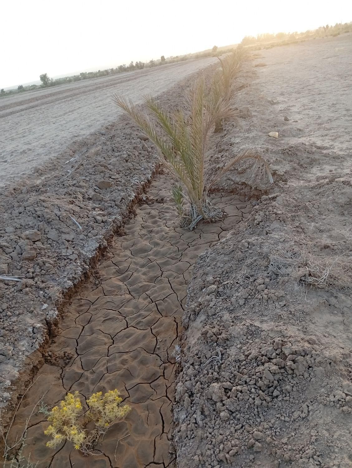 یک هکتار زمین کشاورزی خوش قیمت عنبرآباد|فروش دفتر صنعتی، کشاورزی، تجاری|عنبرآباد, |دیوار