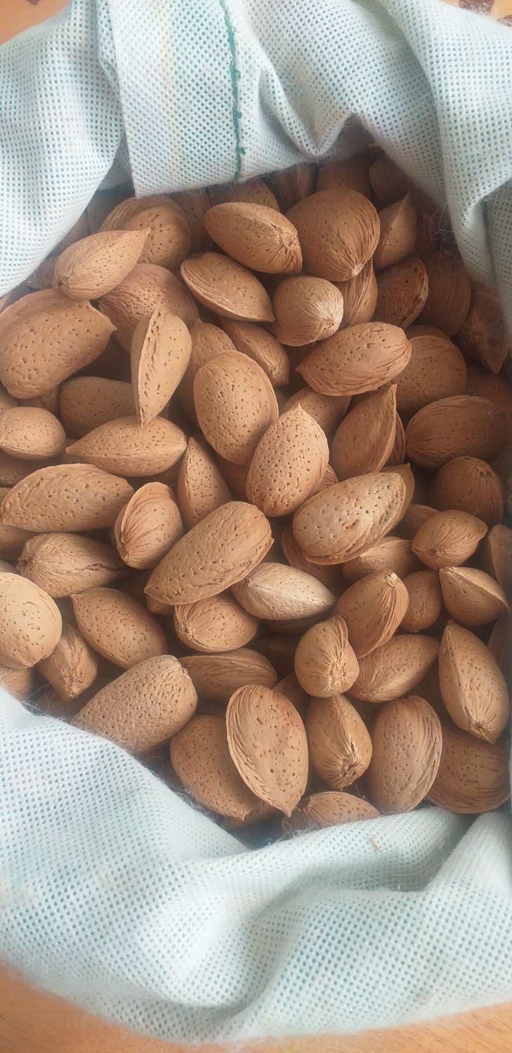 بادام شیرین ودوقلو|خوردنی و آشامیدنی|اصفهان, الهیه|دیوار