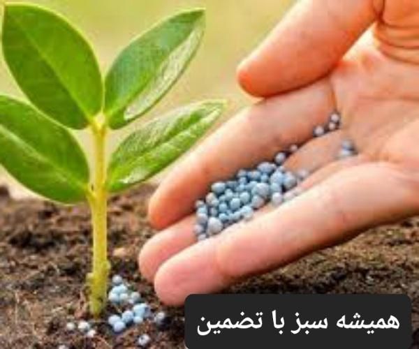 فروش انواع بذر و کود و سم برای کشاورزان|خدمات باغبانی و درختکاری|تهران, باغ فیض|دیوار