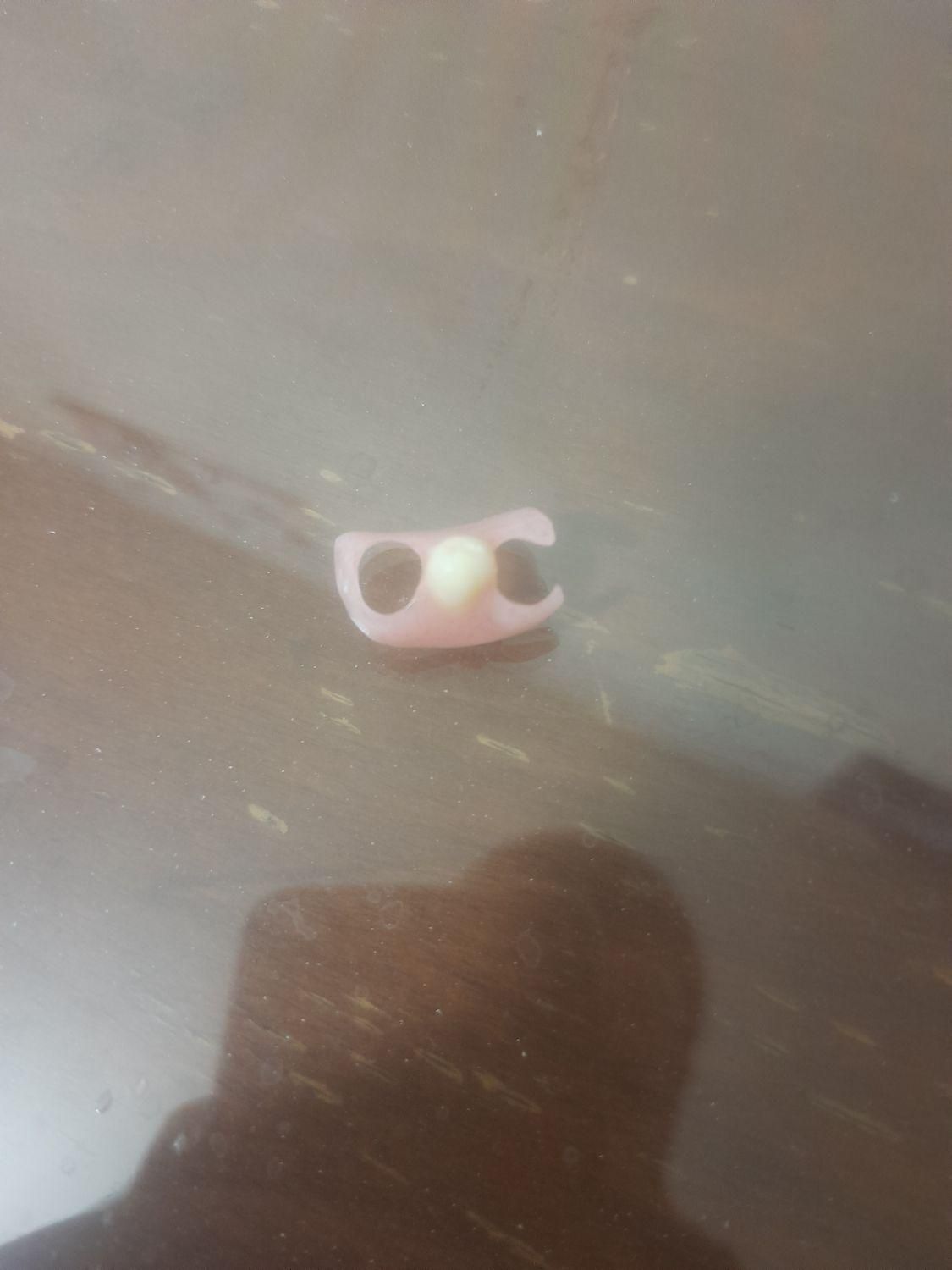 ساخت دندان مصنوعی ایرانی و خارجی|خدمات آرایشگری و زیبایی|رشت, دروازه لاکان|دیوار