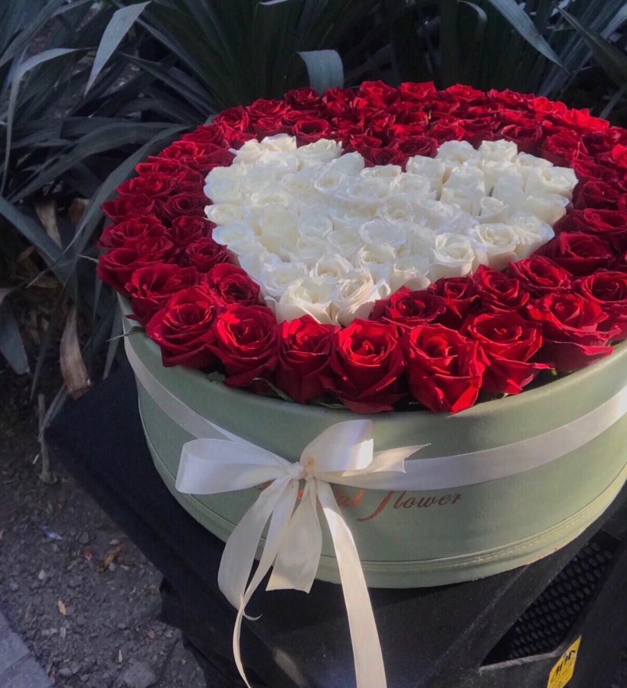 دسته گل باکس گل رز هلندی صد شاخه ای فقط ۹۹۹تومن|گل و گیاه طبیعی|مشهد, آزادشهر|دیوار